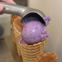 Marion's Glace